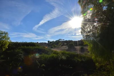 DSC_7358 (Large).JPG